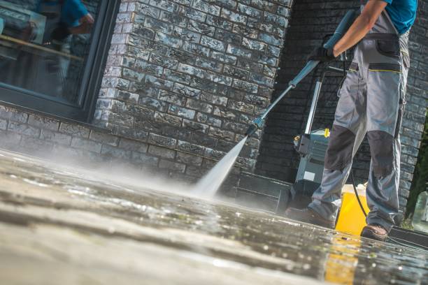 Best Gutter Cleaning  in Fayetteville, AL